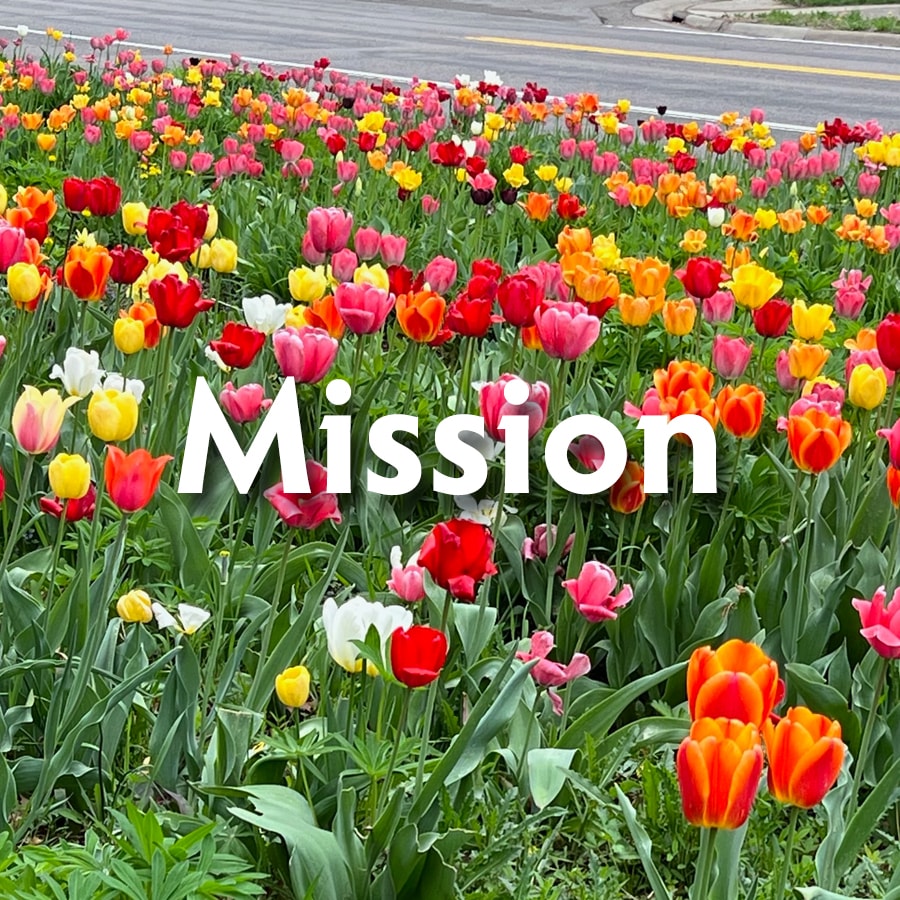 Mission