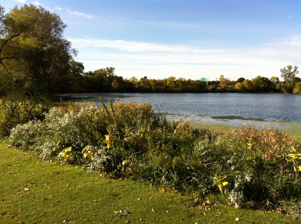 IMG_1152.jpg Friends of Roseville Parks